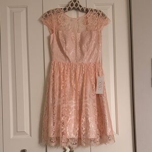 NWT Elegant Pink Lace Dress